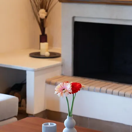 Vivi's House Apartment *